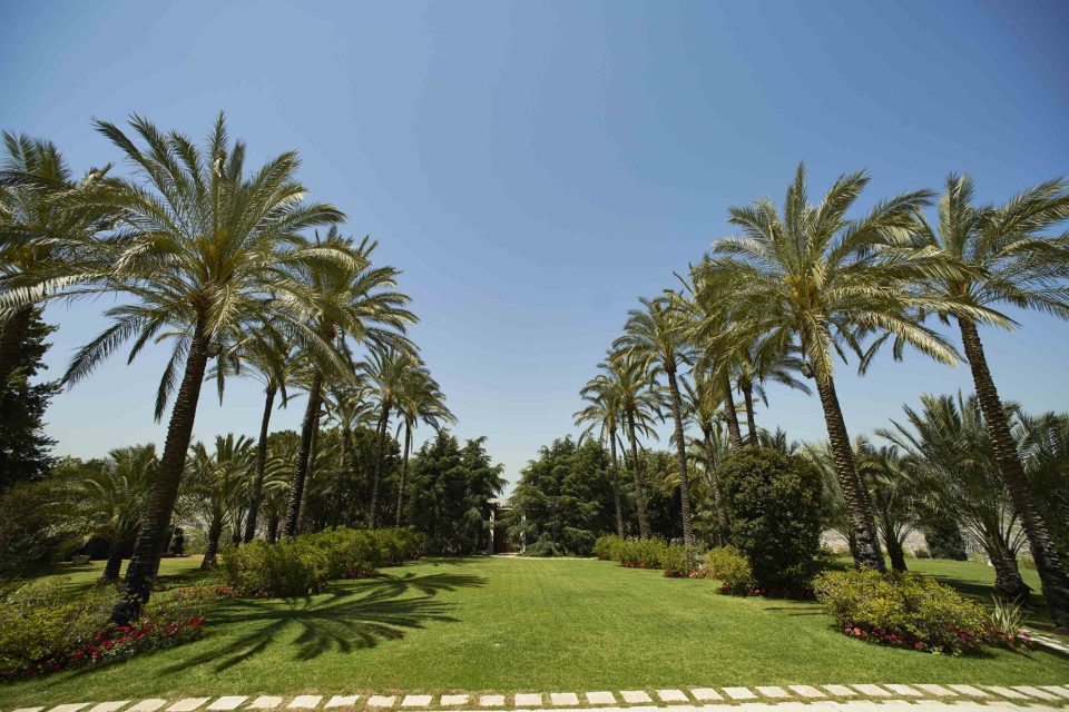 صور الحدائق